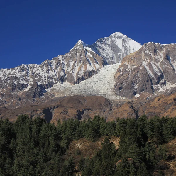 Ορεινά Δάση Και Όρος Dhaulagiri Νεπάλ — Φωτογραφία Αρχείου