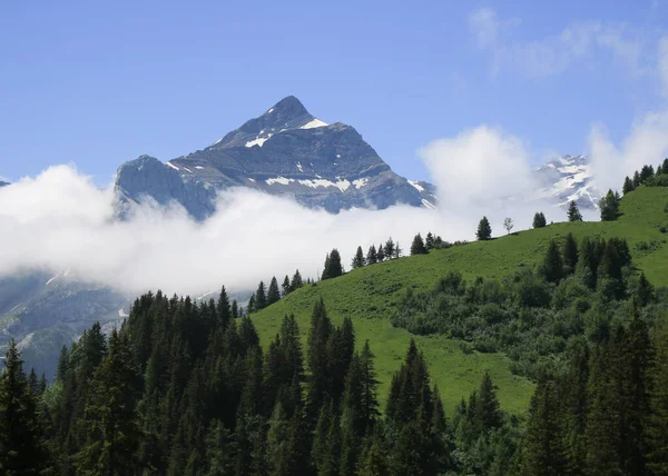 Prairie Montagne Verte Sommet Mont Oldehore Suisse — Photo