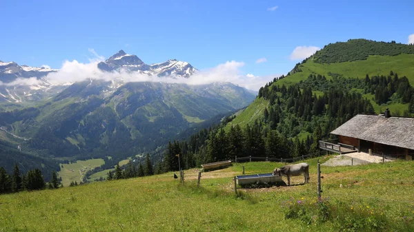 Idyllic Mountain Landscape Gstaad Switzerland — Stockfoto