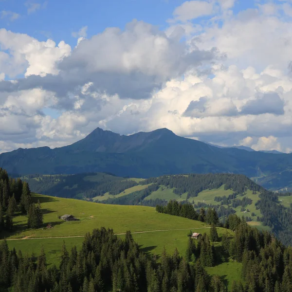 Green Mountain Meadow Distant View Mount Gifer Lauenehore — Stock Photo, Image