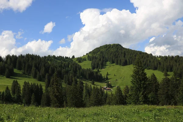 Walighuerli Küçük Tepe Yeşil Dağ Çayırı — Stok fotoğraf