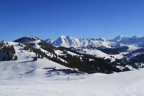 Skipistes Van Horneggli Heldere Blauwe Winterdag Zwitserse Alpen — Stockfoto