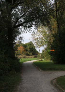 Sonbaharda kavşak ve ağaçlarla çakıl yolu.