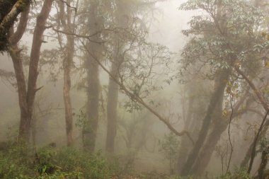 Nepal 'deki Laliguranlar gibi hayal kur..