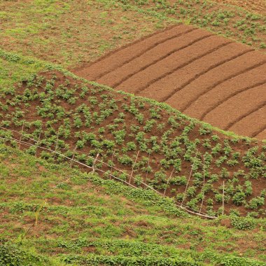 Ghandruk, Nepal 'deki küçük alanlar.