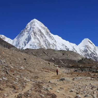 Himalayalar 'da sonbahar günü, Nepal.