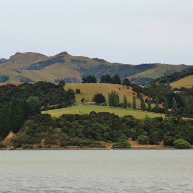 Landscape near Akaroa, New Zealand. clipart