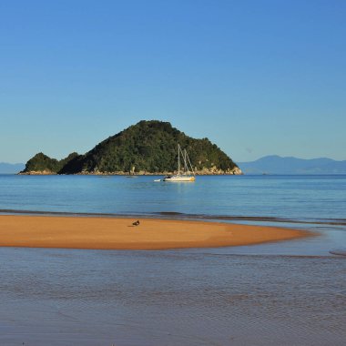 Onetahuti Bay and Tonga Island, Abel Tasman National Park, New Zealand. clipart