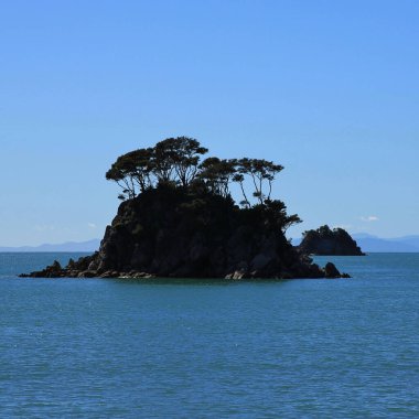 Outlines of a small island and trees near Nelson, New Zealand. clipart