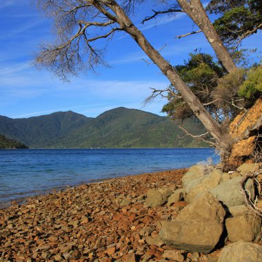 Endeveaour körfezi, Marlborough Sesleri, Yeni Zelanda.