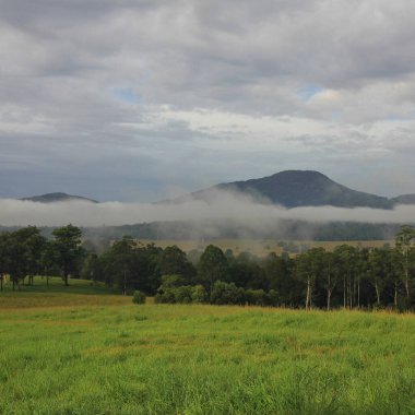 Wauchope, New South Wales kırsalında sis kuşağı.