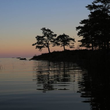 Günbatımında Vanern Gölü kıyısında ağaçlar, İsveç.