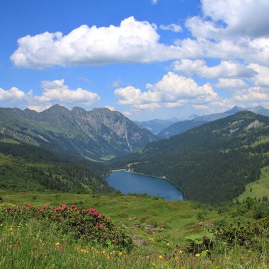 Summer day at Lake Arnen, Switzerland. clipart