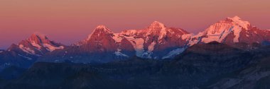 Eiger, Monch ve Jungfrau pembe akşam ışığında, İsviçre.