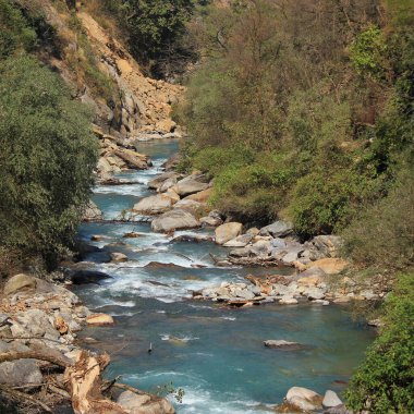 Langtang Khola, Nepal, Shyaphru Besi yakınlarında bir nehir..