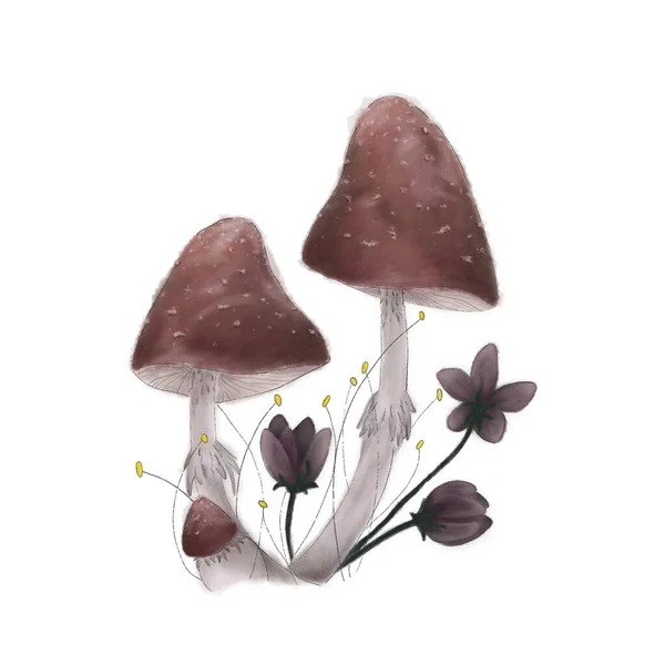Illustrazione Digitale Stile Acquerello Fungo Disegno Aquarelle Tipi Funghi Fantasiosi — Foto Stock