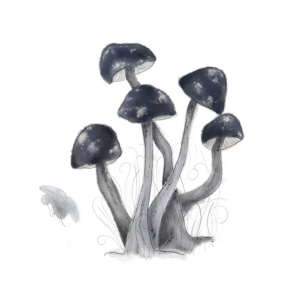 水彩画是蘑菇的数字图像 水彩画 幻想和现实的蘑菇类型 蔬菜插画剪掉了 毒菌或食用菌 — 图库照片