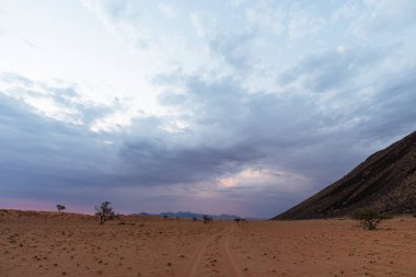 Namib Çölü Namibya 'da kurumuş ölü ot ve kum