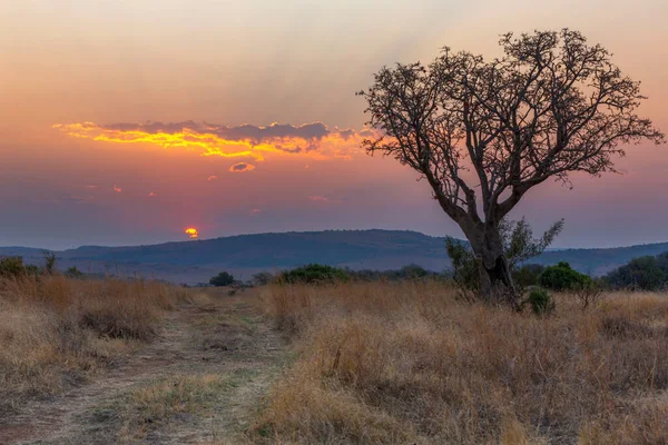 Gouden Zonsondergang Kleur Wolken Geel Magaliesberg Zuid Afrika — Stockfoto