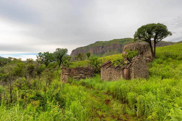 Ruins Cabbage Trees Mountain Drakensberg South Africa — Stock Photo, Image