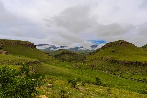 緑の谷の側にSuikerボスの木 Drakensberg South Africa — ストック写真