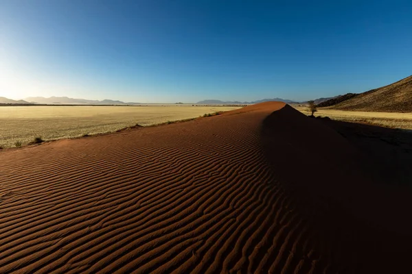砂のパターンの午後遅く側の光ナミビア砂漠 — ストック写真