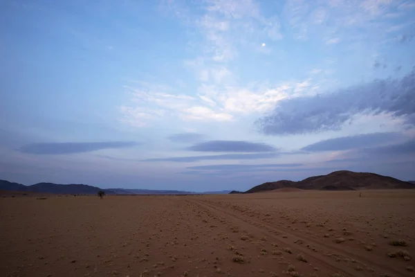 Areia Vermelha Estéril Grama Morta Deserto Namib Desert Namíbia — Fotografia de Stock
