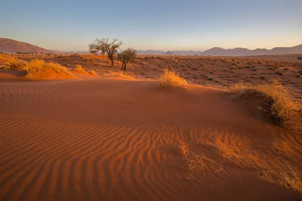 Vento Spazzato Modelli Sabbia Rossa Nel Tardo Pomeriggio Luce Namibia — Foto Stock