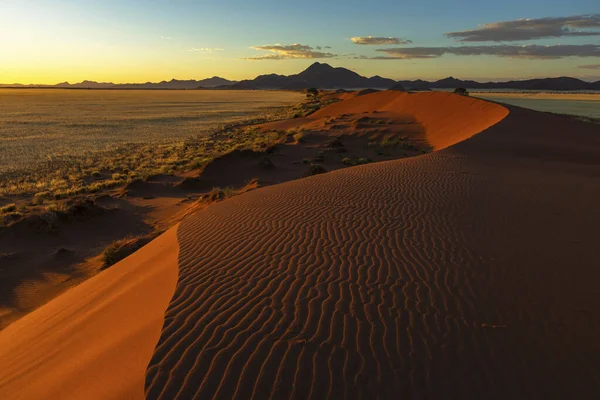 Tôt Matin Lumière Jaune Sur Une Dune Sable Rouge Namibie — Photo