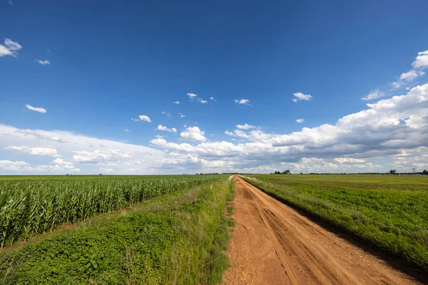Gravel Road Green Maize Field South Africa — Stock Photo, Image