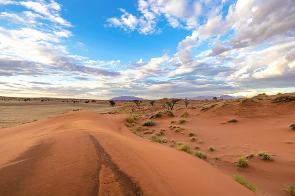 Winderosie Legde Donkere Laag Zand Bloot Duin Namibië Merk Namibië — Stockfoto