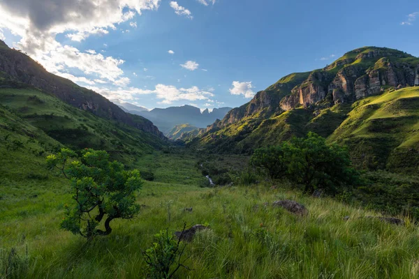Πράσινη Κοιλάδα Στο Βουνό Drakensberg Νότια Αφρική — Φωτογραφία Αρχείου