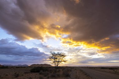 Batan güneş rengi bulutlar altın Namibya