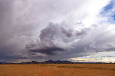 Rain from cumulus clouds in the desert Namib Desert Namibia clipart