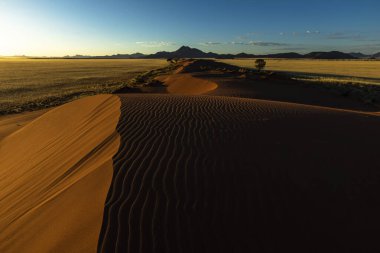 Rüzgar kırmızı kum tepeciği Namib Çölü Namibya 'yı süpürdü