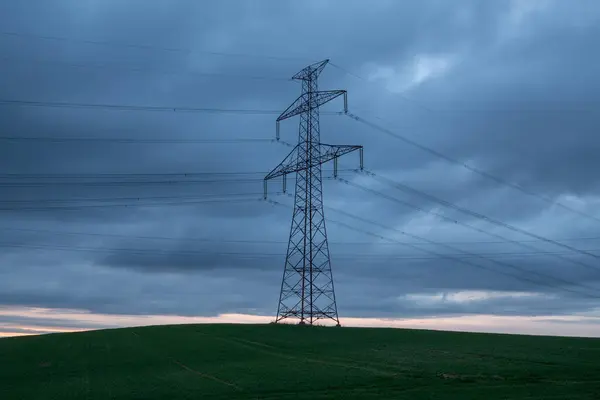 Bulutlu bir gökyüzünün altındaki çayırın ortasında uzun bir elektrik direği.