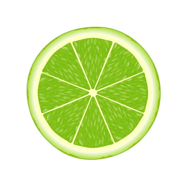 Lime Szelet Illusztráció Web Elszigetelt Fehér Alapon — Stock Vector