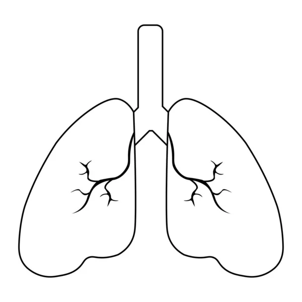 Ícone Pulmão Humano Sistema Respiratório Pulmão Saudável Anatomia Plana Ícone — Vetor de Stock