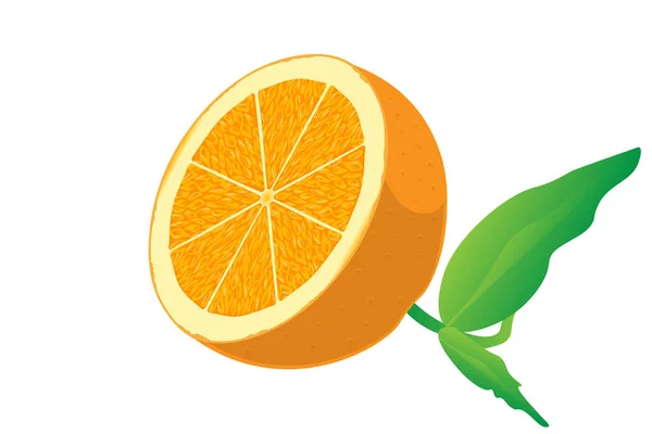 Narancs Szelet Elszigetelt Fehér Háttér — Stock Vector