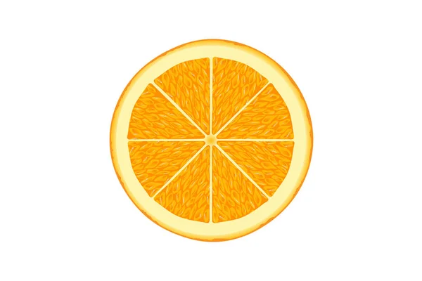 Φέτα Πορτοκαλιού Απομονωμένη Λευκό Φόντο — Διανυσματικό Αρχείο