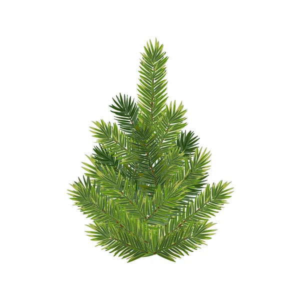 Realistischer Weihnachtsbaum Und Flauschiger Grüner Tannenzweig — Stockvektor