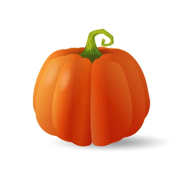 Halloween Spaventoso Arancione Zucca Vacanza Cartone Animato Concetto — Vettoriale Stock