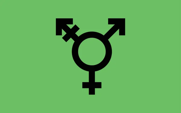 イスラエルのトランスジェンダーの誇りフラグ性的アイデンティティ誇りフラグ — ストックベクタ