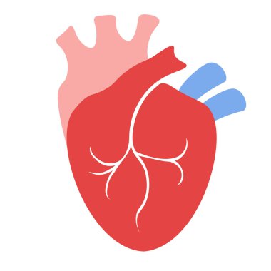 Düz biçimli kalp simgesi beyaz şeffaf arkaplan üzerinde izole resimleme