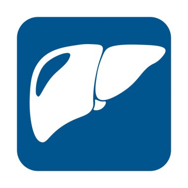 Düz moda karaciğer simgesi. Web sitenizin tasarımı için sembol, logo, uygulama, UI