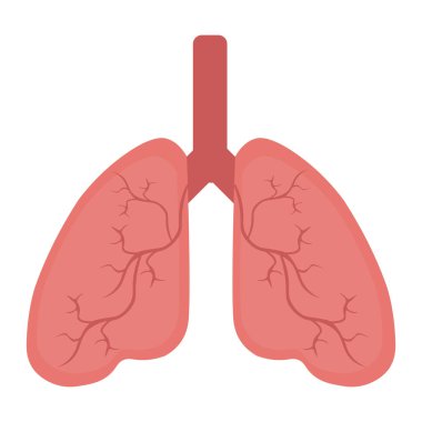 Akciğer insan ikonu, solunum sistemi sağlıklı akciğerler düz tıbbi organ ikonu