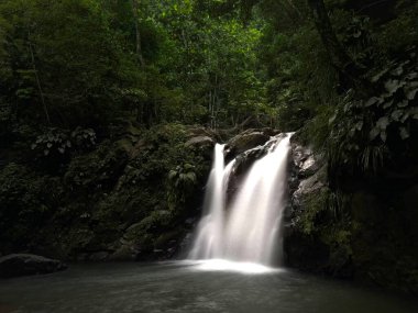 Martinique waterfall in the forest 2023