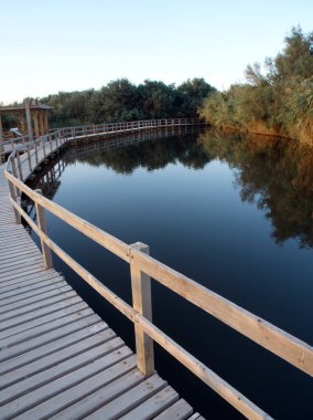 Azraq sulak arazisi rezervi, Ürdün çevresi yürüyüş yolu, Ekim 2022