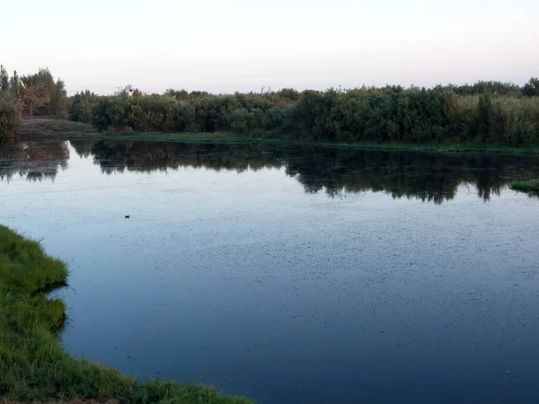 Азракский Водно Болотный Заповедник Озеро Птичьего Покрова Иордания Октябрь 2022 — стоковое фото