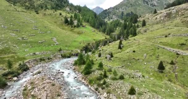 Sustenpass Susten Pass Suíça Natureza Geleira Montanha Riacho Pequeno Rio — Vídeo de Stock